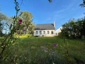 Billund Travelling Sun - Gammel Blåhøj