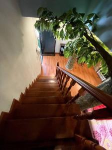 Lakefront Tree Escape in Buriram, Thailand