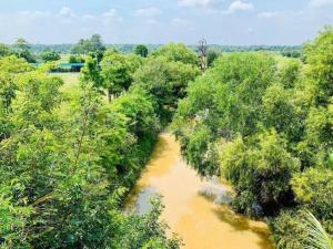 Lakefront Tree Escape in Buriram, Thailand