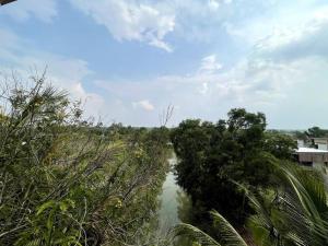 Lakefront Tree Escape in Buriram, Thailand