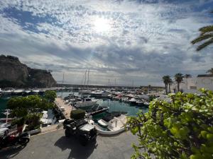 Estudio Jacaranda Marina