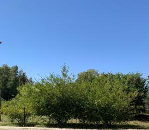 B&B Hideaway Haven Villa img12