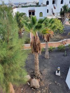 Club Teguisol Costa Teguise