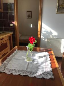 Gardens apartman - Kosjerić