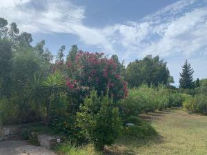 B&B Hideaway Haven Villa img13