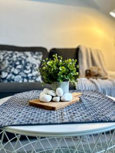 Cozy Kanvas Soho Suites