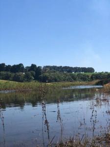 Chácara Paraiso Mion Pé na água