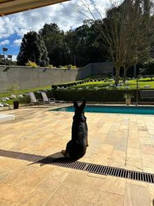 Chácara Paraiso Mion Pé na água