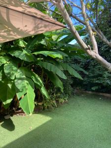 Très bel appartement avec jardin reposant