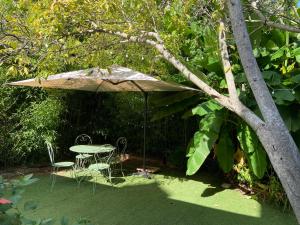 Très bel appartement avec jardin reposant