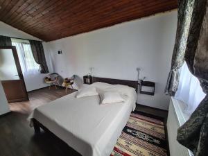 Cabana Bujor de Munte