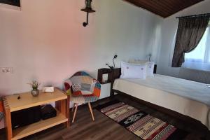 Cabana Bujor de Munte