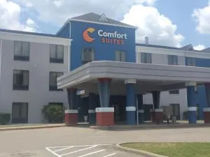 Comfort Suites Airport South - Ramer