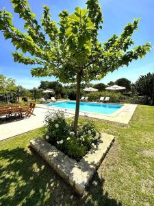 Villas Le mas sous les etoiles : photos des chambres