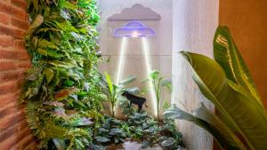 Hotel El Peñon by Bithotels