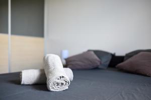 Les terrasses - T3 Spacieux avec parking gratuit