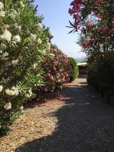 Maisons de vacances Au fond du jardin : photos des chambres