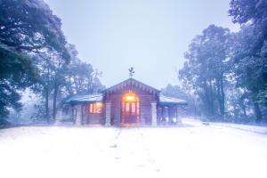 Nine Furlongs, Binsar Wildlife Sanctuary