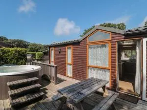 Birch - Corfe Castle
