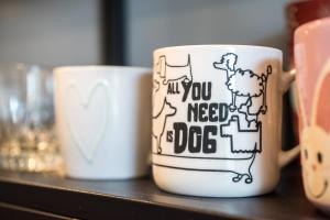 Apartament Ziemowita