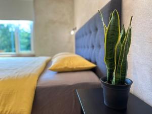 Magical two bedroom apartment in Viljandi