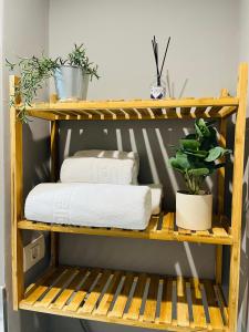 Miralex - Tomis Nord-Cireșica