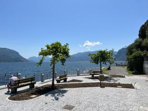 Luxury Apartment Lake Como