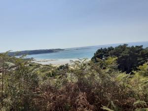 Maisons de vacances Jolie maison dans nature paisible, Cote de Granit Rose proche plage. : photos des chambres