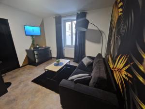 Appartements Suite GOLD Mulhouse : photos des chambres