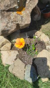 B&B Sensorial Experience img17