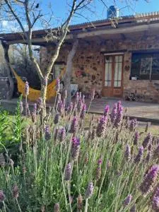 Vayu- en La Casa de Nanda - Pueblito