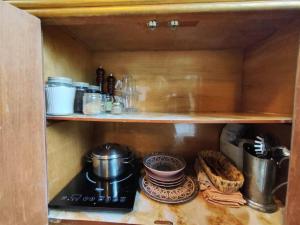 Suíte TEMÁTICA Amor Fati