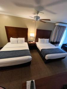 Queen Room with Two Queen Beds room in Comfort Inn & Suites Ocean Shores