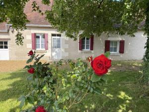 Maisons de vacances Gite Manthelan, 3 pieces, 6 personnes - FR-1-381-534 : Maison de Vacances