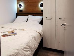 Charmant appartement rénové, cosy, pour 4 pers., exposé sud, skis aux pieds, proche commerces - FR-1-545-43
