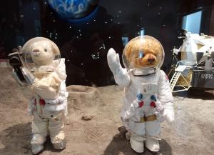 Hotel The Grang Jungmun