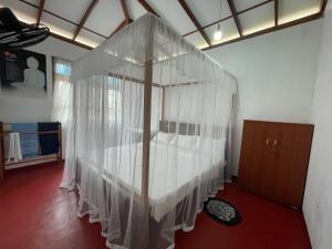 Peacock Holiday Mirissa