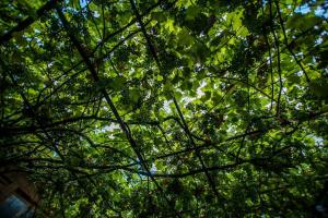 Family Apartments "IGWT"