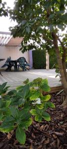 BERCK Maison de vacances avec terrasse et jardin,
