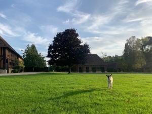 Maisons de vacances La Cidrerie du Haras : photos des chambres