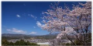 オーベルジュ内子 - Mikame