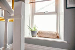 Quirky 2-bed flat w parking central Kingsbridge