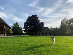 Maisons d'hotes Aile privee au sein d’un haras : photos des chambres