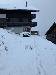 obrázek - Les Œillets, Les portes du Soleil