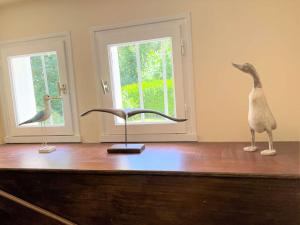 Maisons de vacances Grande maison familiale a 800m de la plage de Kermor avec jardin - FR-1-481-122 : photos des chambres