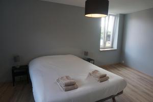 Appartements L'Aubach - appartement spacieux - au pied du vignoble - parking gratuit : photos des chambres
