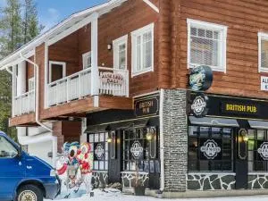 阿尔特列维达里度假屋 - 列维