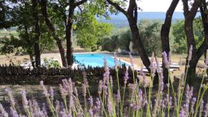 Maisons de vacances Le Refuge des Cigales : photos des chambres