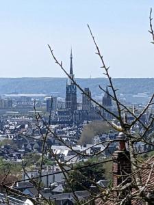 Maisons de vacances Maison individuelle avec courette et vue sur Rouen : photos des chambres