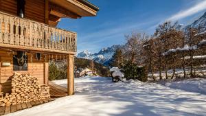 Chalets Chalet Birdie : photos des chambres